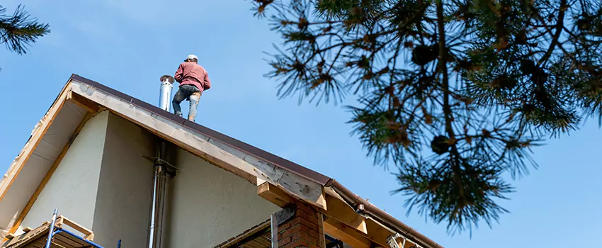 Birds Removal Contractors from Chimney in Gretna, LA